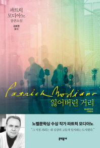 잃어버린 거리 (양장)